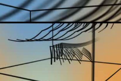 Contorted Conditions - Episode 9