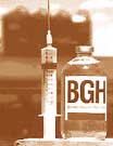 rbgh8.jpg